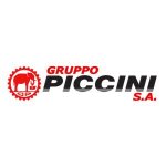 logo-piccini